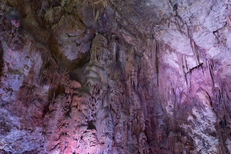 Alicante: Canelobre Caves & Busot Tour with Local Guide - The Sum Up: Who Should Book This?