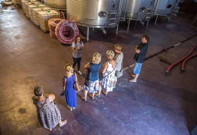 Alicante: Countryside Wine Tour with 4 Tastings - Who Will Love This Tour?
