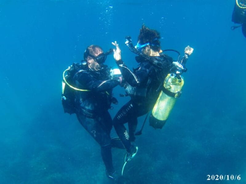 Alicante: Denia Beginners Scuba Diving Experience - Key Points / Takeaways