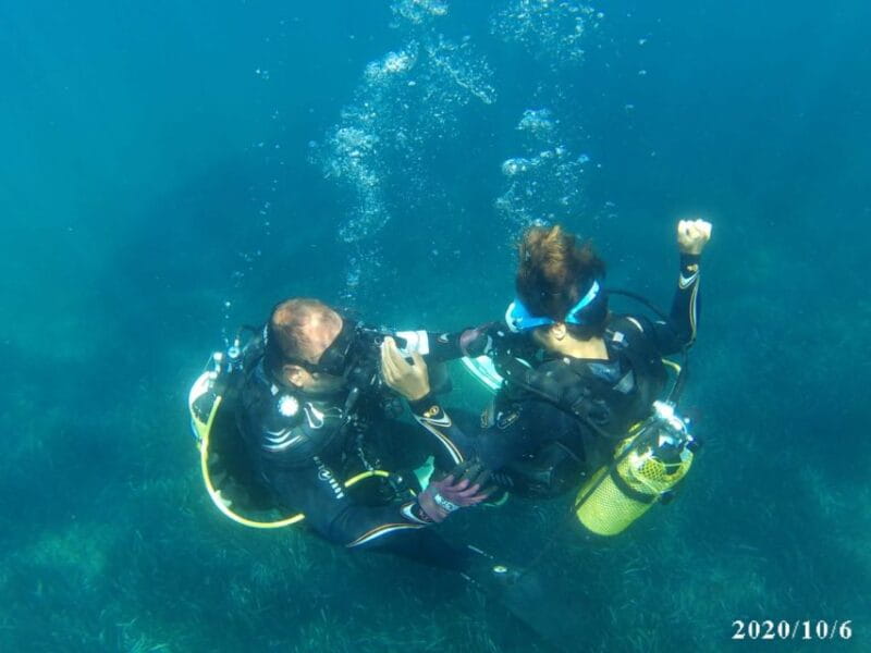 Alicante: Denia Beginners Scuba Diving Experience - Price and Logistics: Good Value for Money