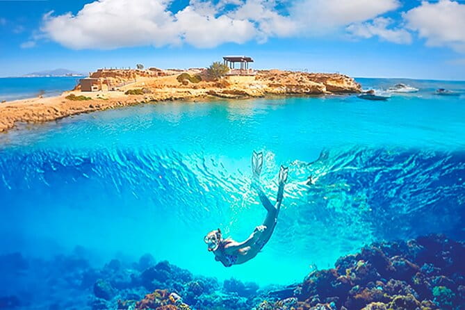 Alicante E-Bike Coast Tour with Román Fishpond and Snorkeling - Key Points