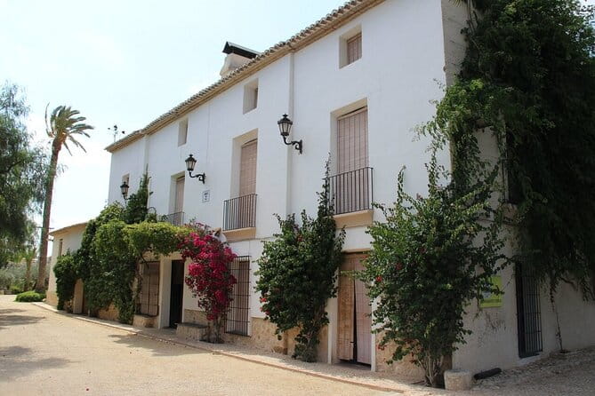 Alicante Old Winery Tour and Wine Tasting Including Transfer - Key points / Takeaways