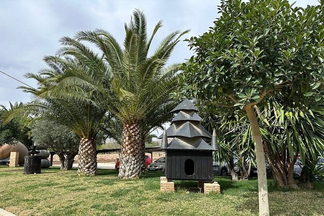Alicante Old Winery Tour and Wine Tasting Including Transfer - Exploring the Alicante Old Winery Experience in Depth