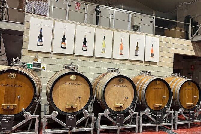 Alicante Old Winery Tour and Wine Tasting Including Transfer - FAQ: Common Questions about the Alicante Old Winery Tour