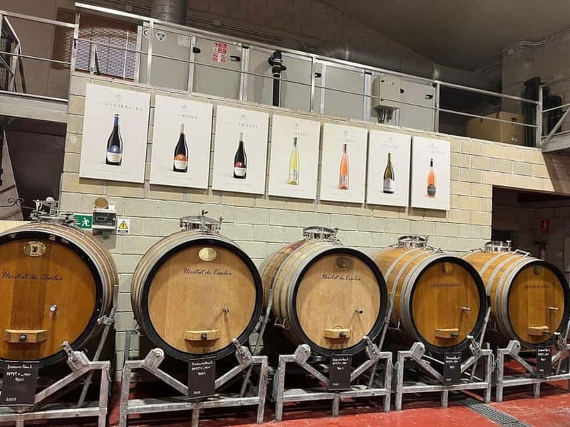 Alicante: Old Winery Tour & Wine Tasting including transfer - Introduction: An Authentic Taste of Alicante’s Wine Heritage