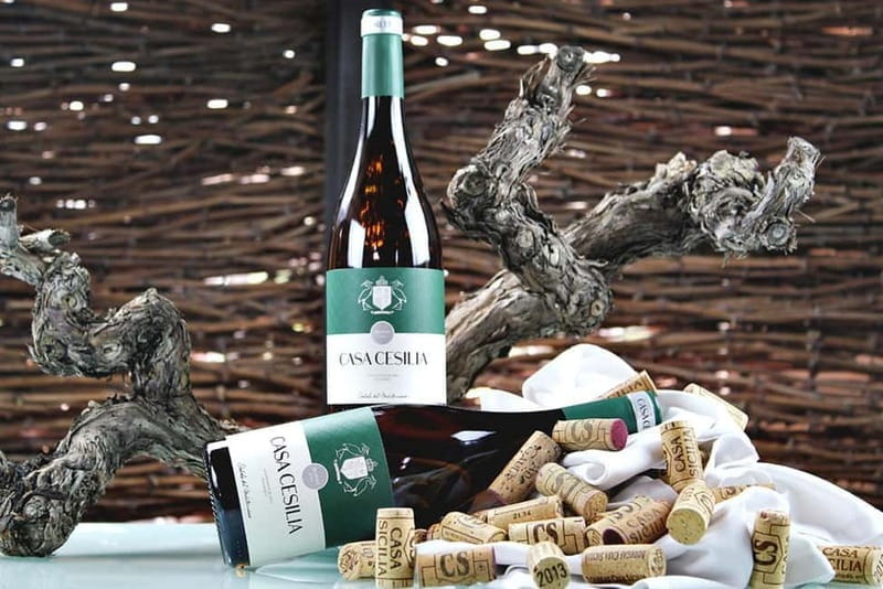 Alicante: Old Winery Tour & Wine Tasting including transfer - Final Thoughts