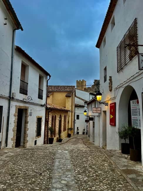 Alicante: Premium Winery with 7 Tastings and Guadalest Transfer Included - Who Should Consider This Tour?