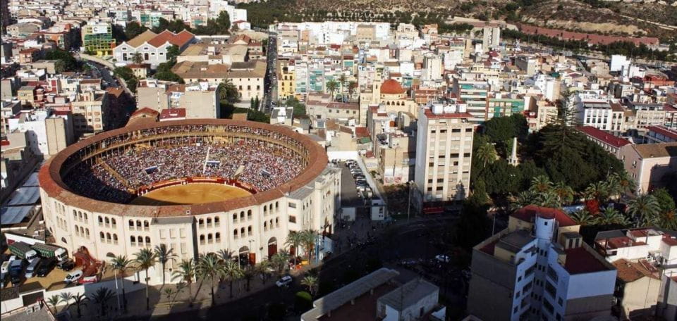 Alicante: Private Guided Visit to Alicante Bullring & Museum - Experience Highlights