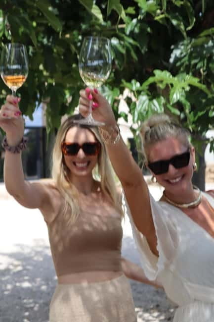 Alicante: Sustainable Wine & Tapas Experience at 3 Wineries - Journey into Alicante’s Boutique Vineyards: What You’ll Experience