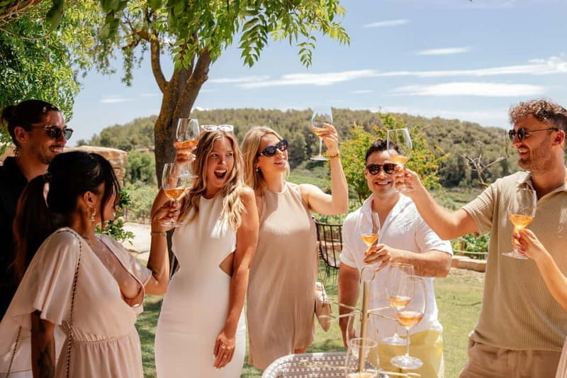 Alicante: Sustainable Wine & Tapas Experience at 3 Wineries - Final Thoughts on the Alicante Wine & Tapas Tour