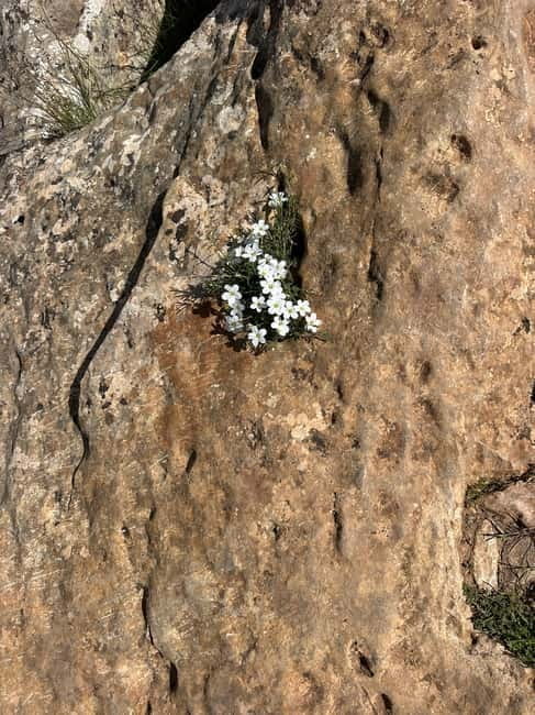 Alicante, Torrevieja Hiking Tour with Snacks - Final Thoughts