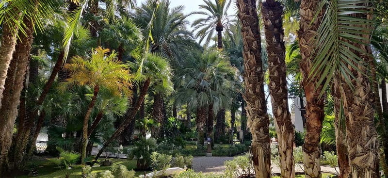 Alicante: UNESCO Heritage Palm grove & Artistic Garden Tour - Pricing and Value