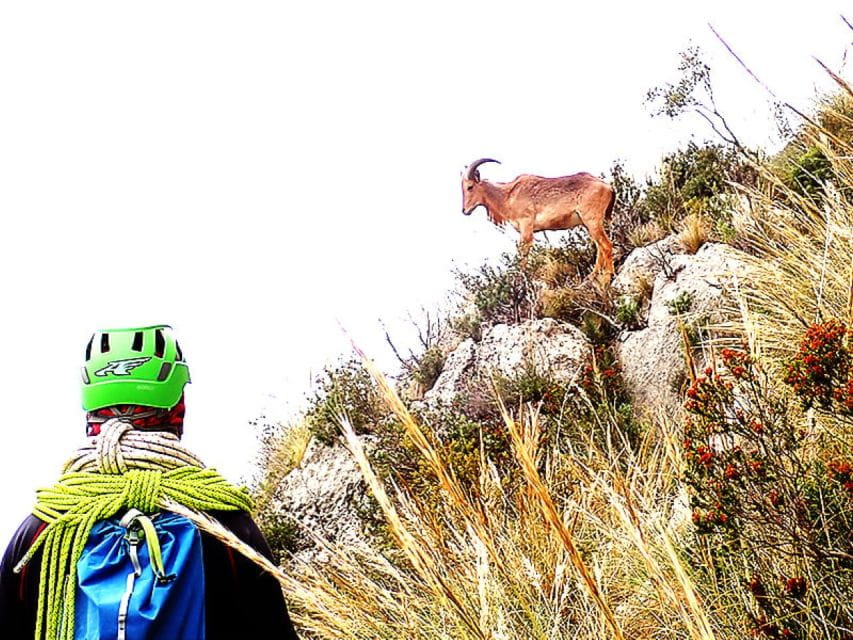 Alicante: via Ferrata Del Ponoig Guided Trek and Climb - Included Safety Gear