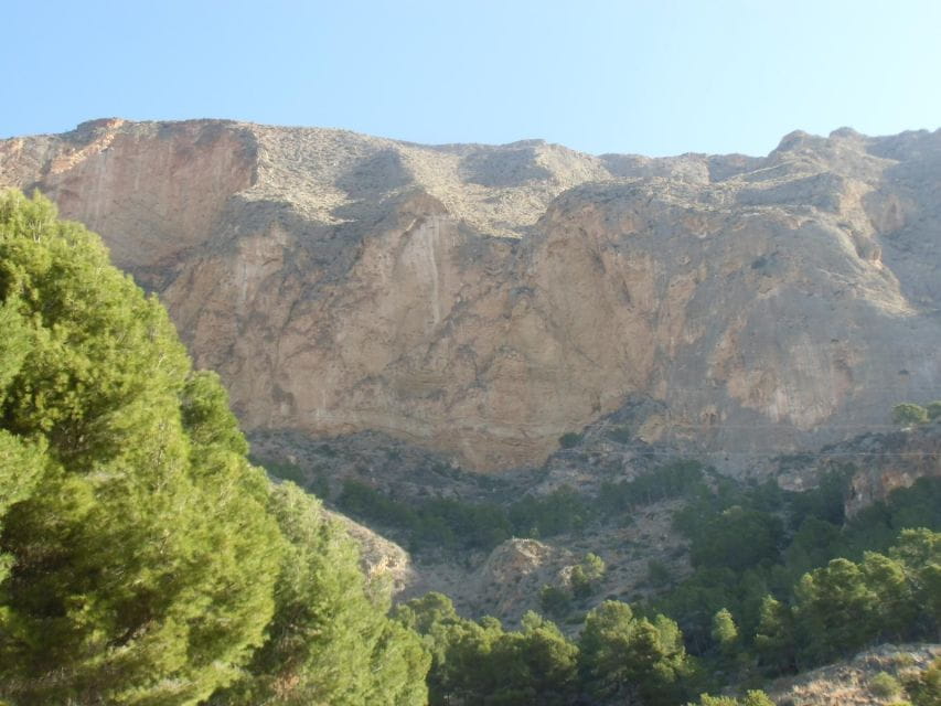 Alicante: Via Ferrata Hike in Redovan - Customer Feedback