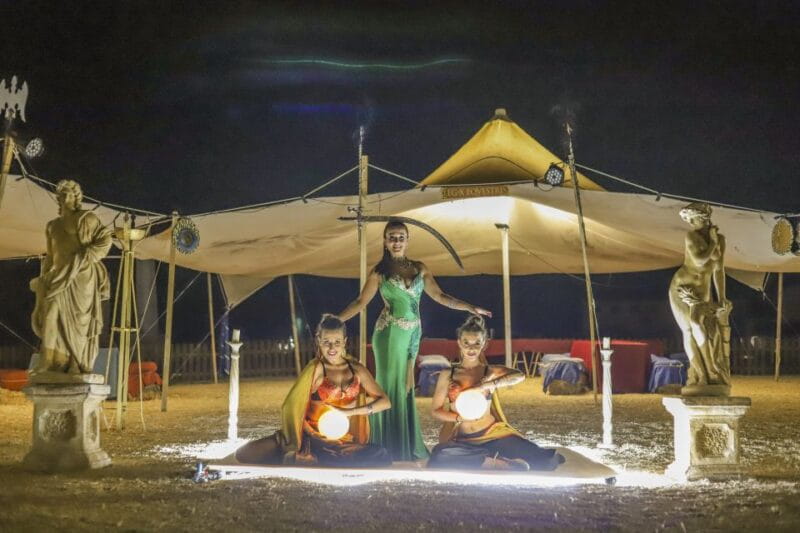 Alicante: Villajoyosa Gran Circus Maximus Entry Ticket - Entering the Arena: What’s the Show Like?