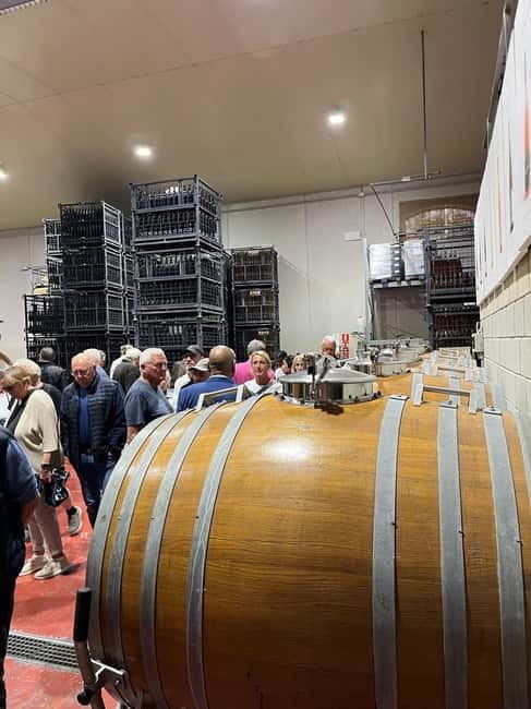 Alicante: Wine Tour and Lunch with Bodega Visit and Novelda - Exploring Alicantes Wine and Culture in Four Hours