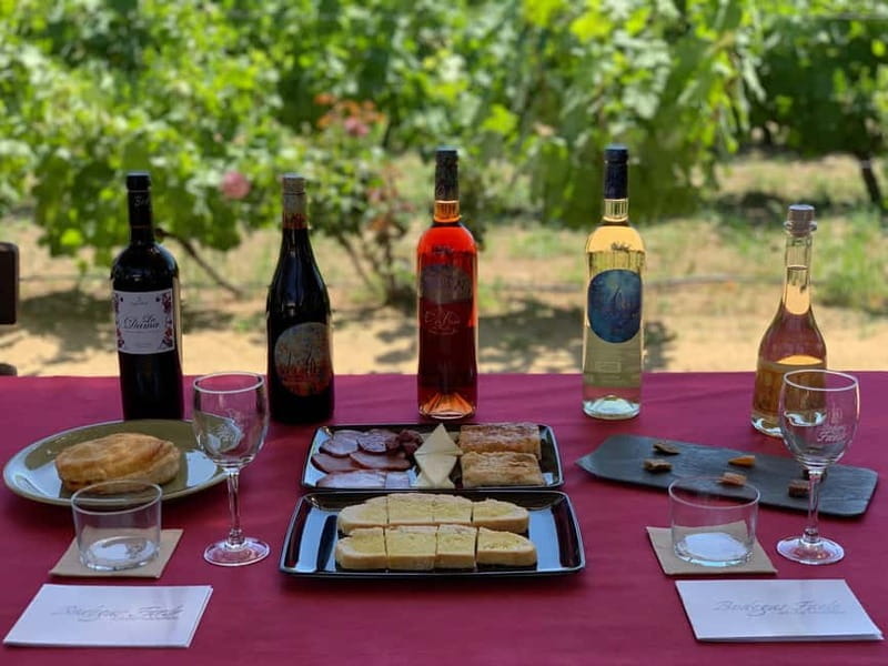 Alicante: Wine Tour and Lunch with Bodega Visit and Novelda - Final Thoughts