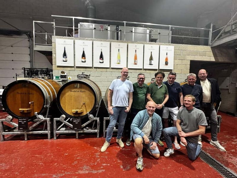 Alicante; Wine Tour Wineries, Food, and Transportation Included - Key Points / Takeaways