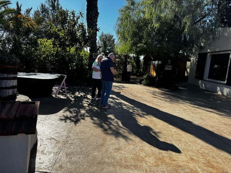 Alicante; Wine Tour Wineries, Food, and Transportation Included - A Deep Dive into the Alicante Wine Tour