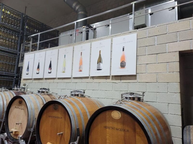 Alicante:Beatiful Castle of Mola+tasting of local wine - Touring the Organic Winery: From Vineyard to Bottle