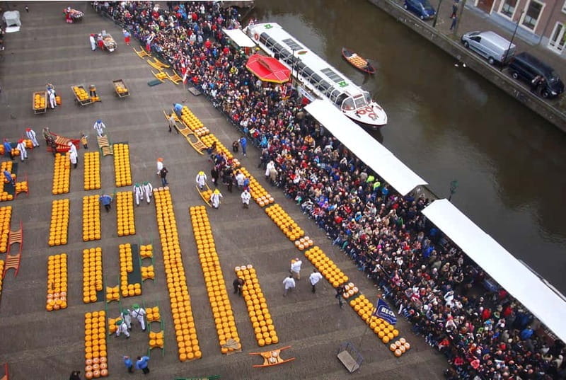 Alkmaar: Cruise from the Cheese Market - Why Choose This Canal Cruise in Alkmaar?