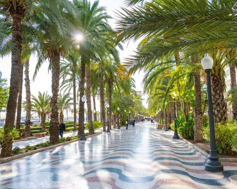 All Alicante with Castle, Market and Tapas. Small group max 8 people - Discovering Alicante with a Personal Touch