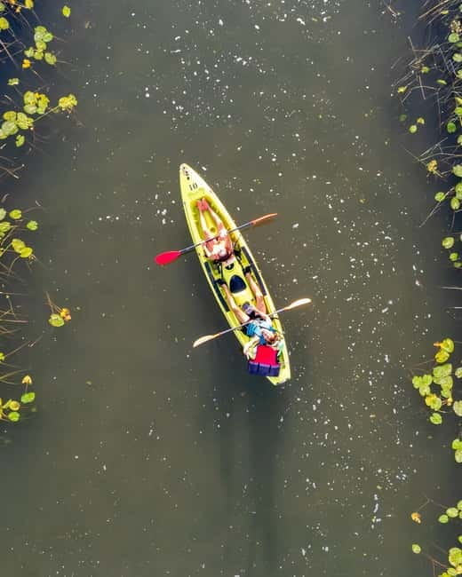 All Day Self-Kayaking to secret spots and wildlife observing - What You’ll See and Do on the Itinerary