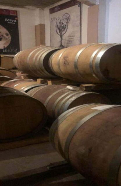 All-Day Wine Tasting Tour - Tasting Indigenous Varieties