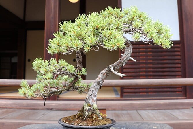 ALL INCLUDED:Short Exclusive Hidden Kyoto Private Tour With Local - Frequently Asked Questions