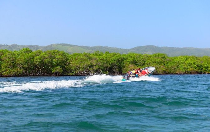 All-Inclusive Cayo Arena Day Trip From Santo Domingo - Snorkeling and Water Activities