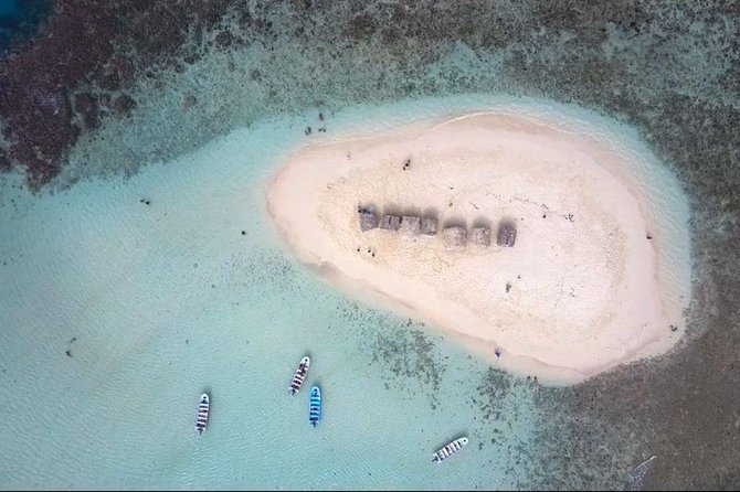 All-Inclusive Cayo Arena Day Trip From Santo Domingo - Guest Reviews and Ratings