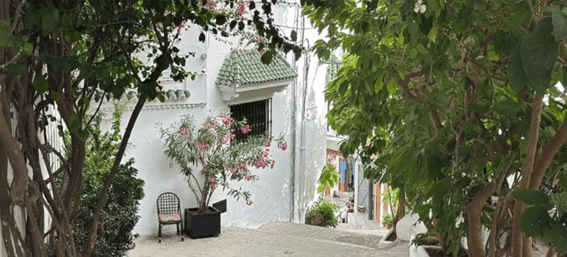 All-Inclusive Day Trip from Cádiz to Tangier, Morocco - Who This Tour Suits Best