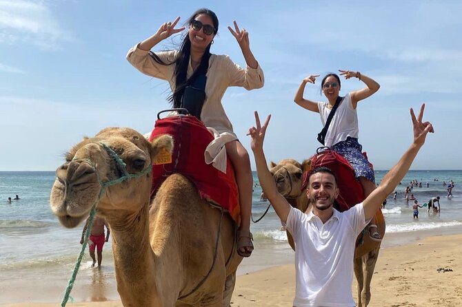 All-Inclusive Day Trip From Tarifa to Tangier - Pricing and Cancellation Policy