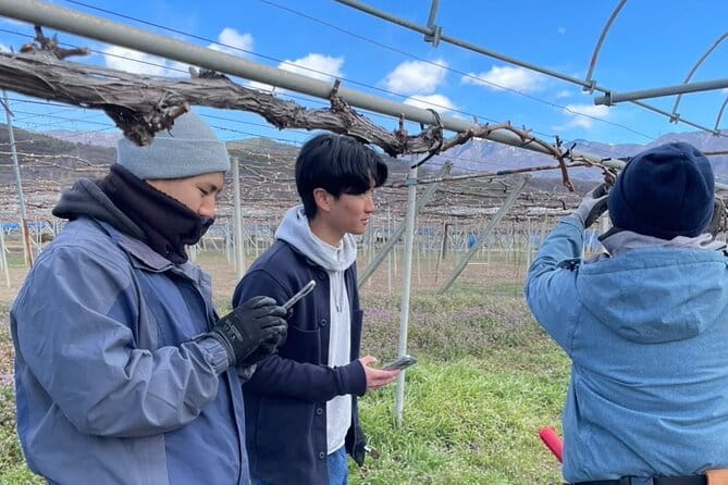 All Inclusive Sake BRE and Winery Tour With View of Mt. Fuji - Wine Tasting at a Scenic Winery