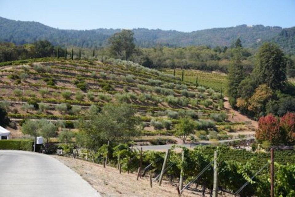 All Inclusive Sustainable Wine and Distillery Tour - Itinerary