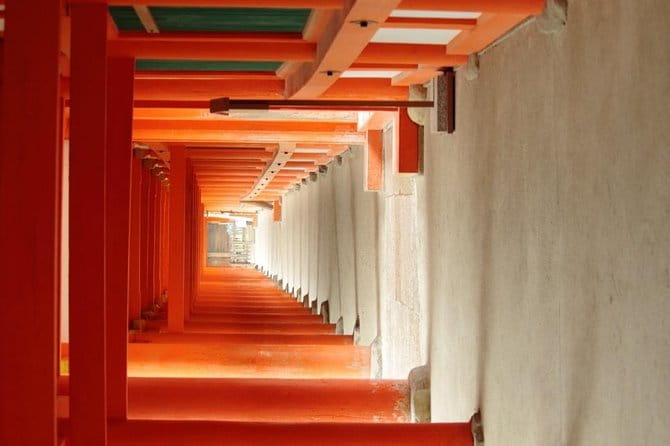 All Must-Sees in 3 Hours - Nara Park Classic Tour! From JR Nara! - Experiences With Deer and Cultural Learning