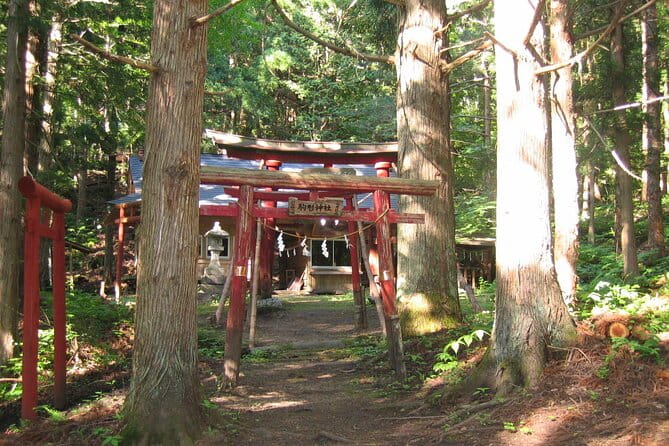 All Must-Sees Tono Private Tour With Government-Licensed Guide - Transportation Details