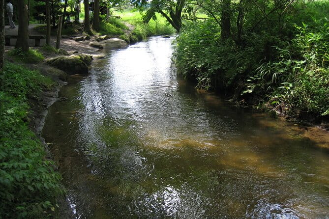 All Must-Sees Tono Private Tour With Government-Licensed Guide - Accessibility