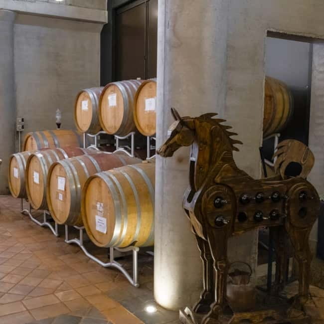 All Tuscany Wine Tour - The Setting and Atmosphere: More Than Just a Tasting