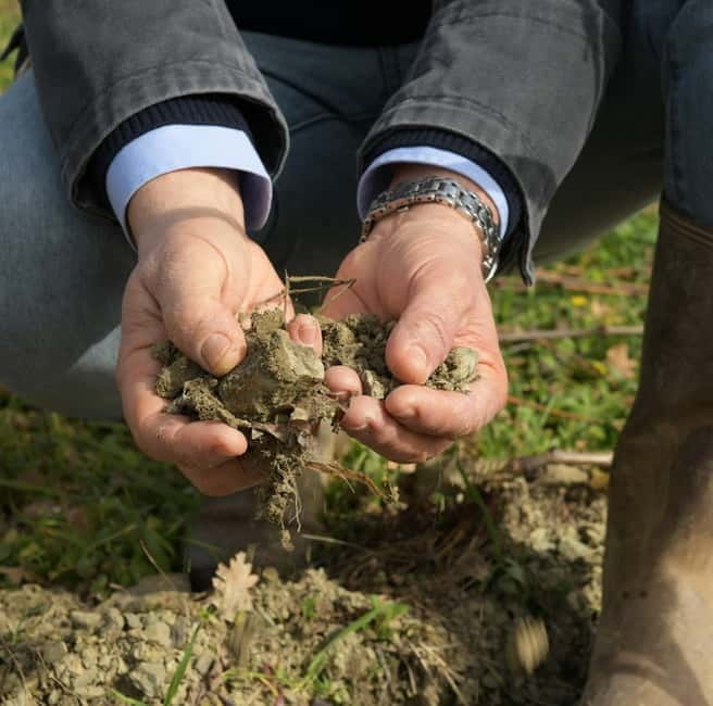 All Tuscany Wine Tour - Price and Value Analysis