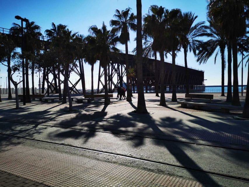 Almería: Guided City Discovery Tour - Accessibility Features