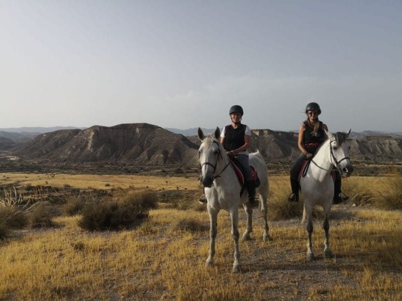 Almeria: Horse Riding Tour Through the Tabernas Desert - The Experience in Detail: What to Expect from Start to Finish