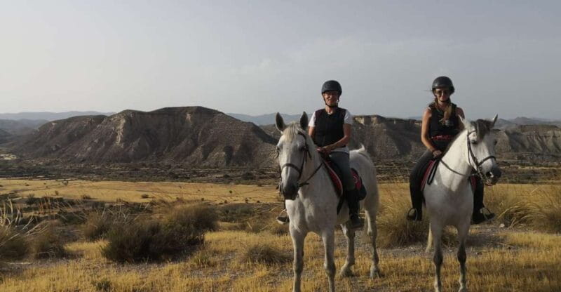 Almeria: Horse Riding Tour Through the Tabernas Desert - Who Is This Tour Best For?