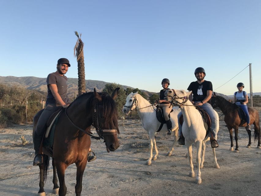 Almeria: Horse Riding Tour Through the Tabernas Desert - Experience and Highlights