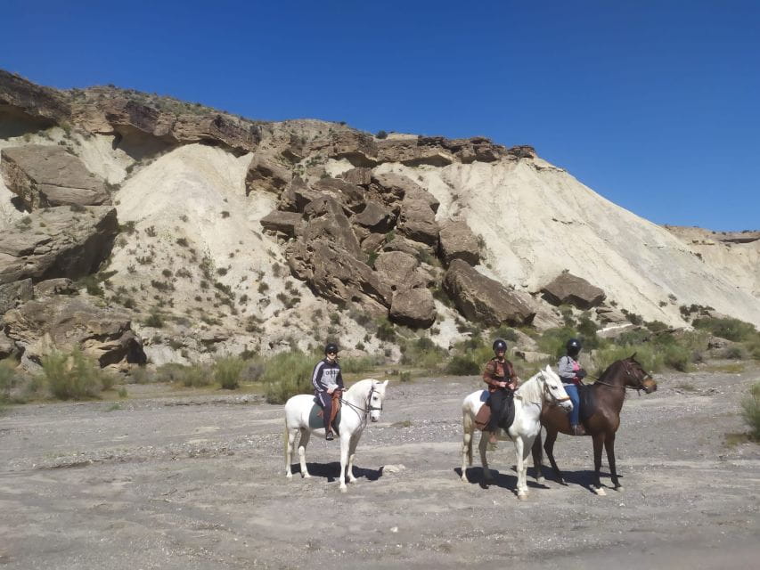 Almeria: Horse Riding Tour Through the Tabernas Desert - Safety and Equipment