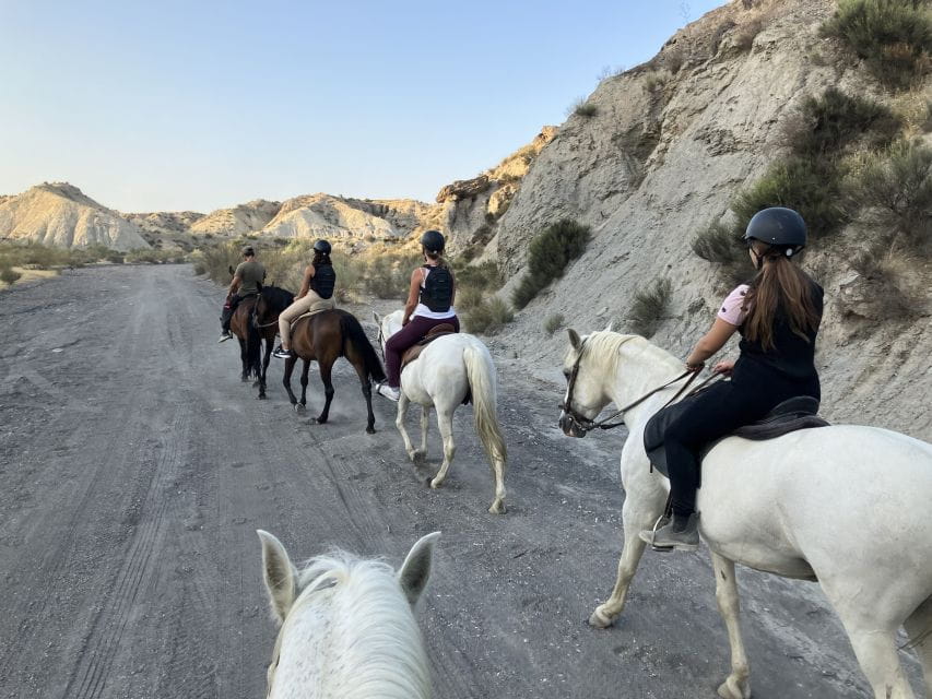Almeria: Tabernas Desert Horse Riding for Experienced Riders - Booking Information