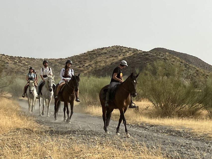 Almeria: Tabernas Desert Horse Riding for Experienced Riders - Customer Ratings and Feedback