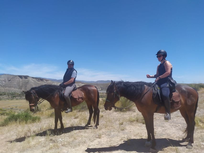 Almeria: Tabernas Desert Horse Riding for Experienced Riders - Things To Know
