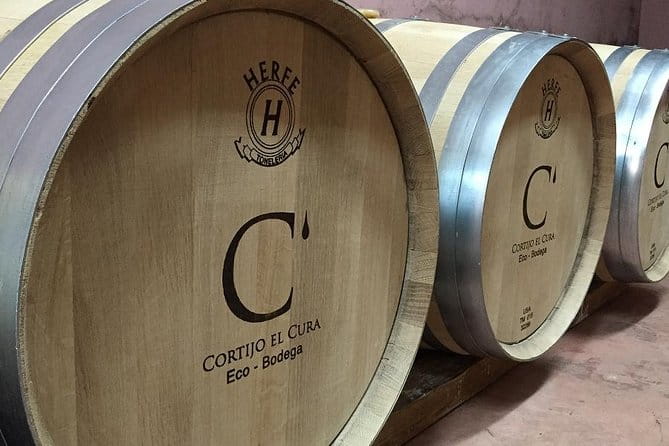 Almería Visit to Eco Winery Cortijo El Cura and wine tasting - Key Points / Takeaways