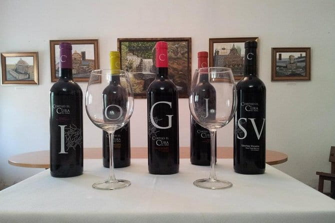 Almería Visit to Eco Winery Cortijo El Cura and wine tasting - The Sum Up: Authentic, Affordable, and Worthwhile